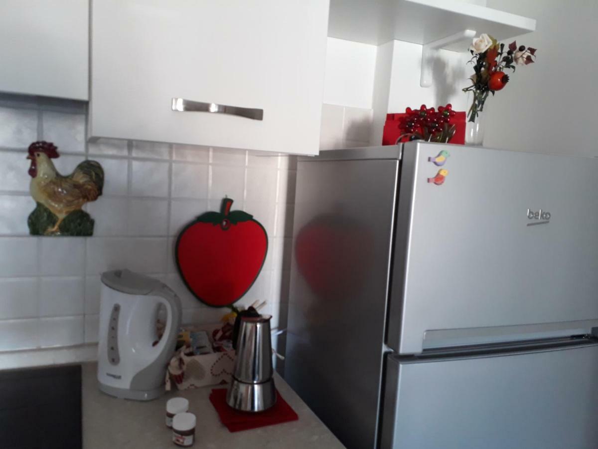 Apartament Il Bel Juk Alba  Zewnętrze zdjęcie